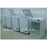 速冻冰板的冰箱低温冷柜冰柜