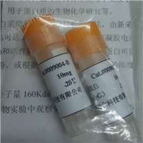 牛免疫球蛋白G(IgG)標準品