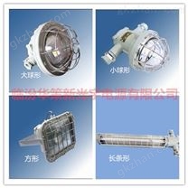 山西劲贝矿用隔爆型LED巷道感应灯