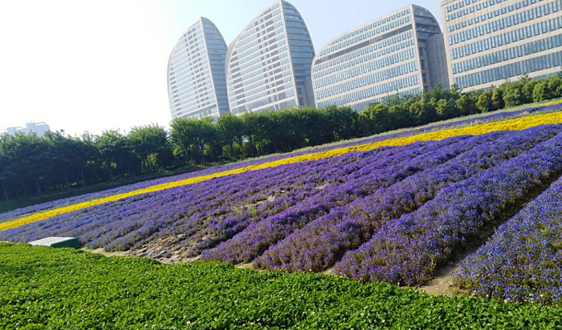 新基建带来新机遇!大数据产业发展需“四驱”推动