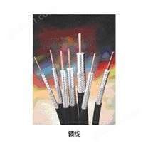 饋線2