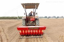 MLY3-大蒜播種機(jī)