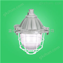 BAD51-100 BAD51-200X BAD51-200D BAD51-250隔爆型防爆照明燈