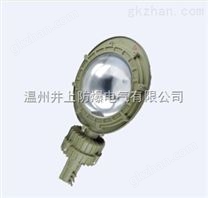 BLD80防爆路燈-鎮(zhèn)江6米高的LED防爆馬路燈廠家